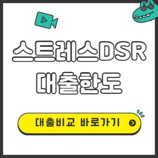 스트레스 DSR 시행